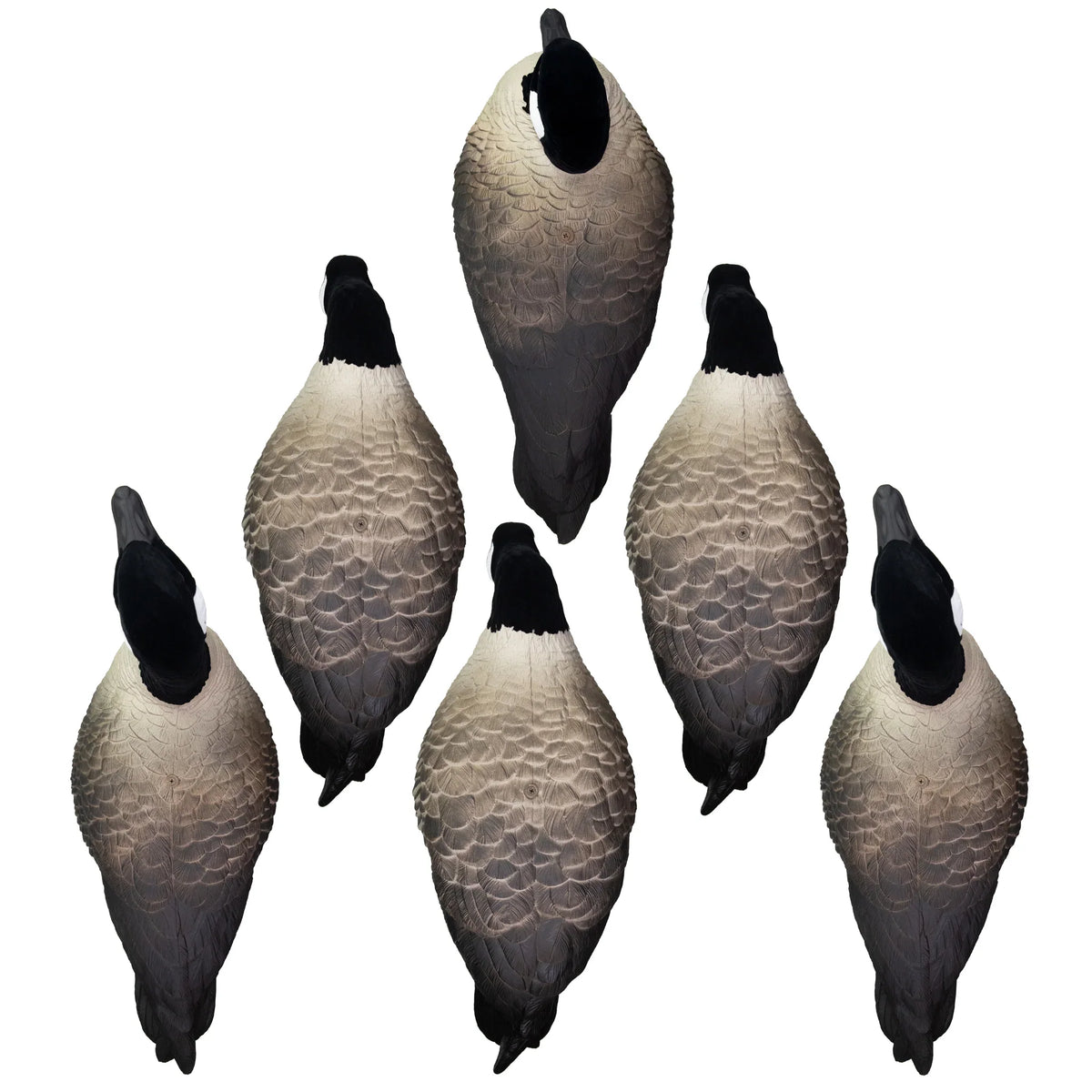 Higdon APEX Full-Size Full-Body Canada Variety Pack B