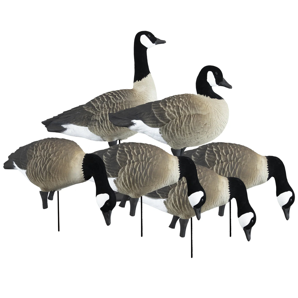 Higdon APEX Full-Size Full-Body Canada Variety Pack B