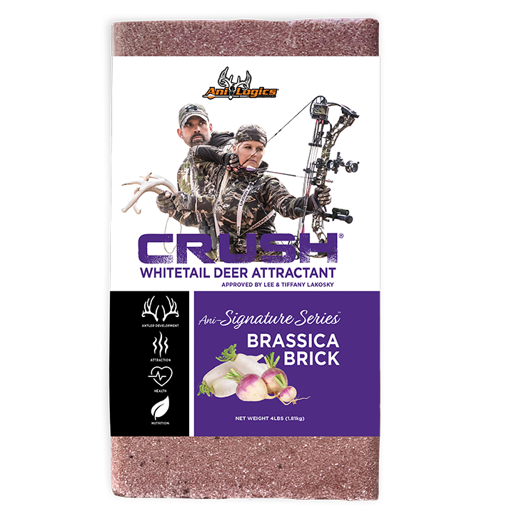 Crush Brick - 4lb - Brassica