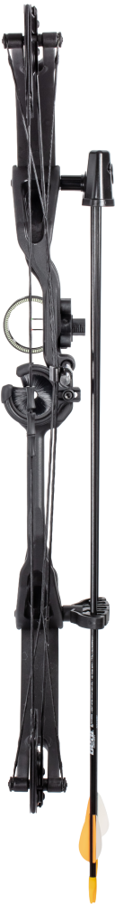 Bear Archery Raider Youth Bow