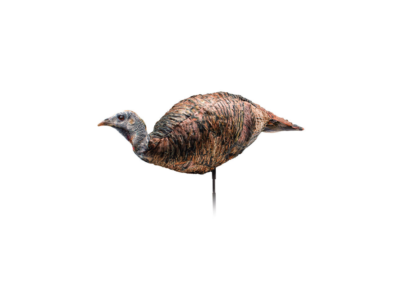 Montana Decoys Miss Purr-Fect 3D Hen Turkey Decoy