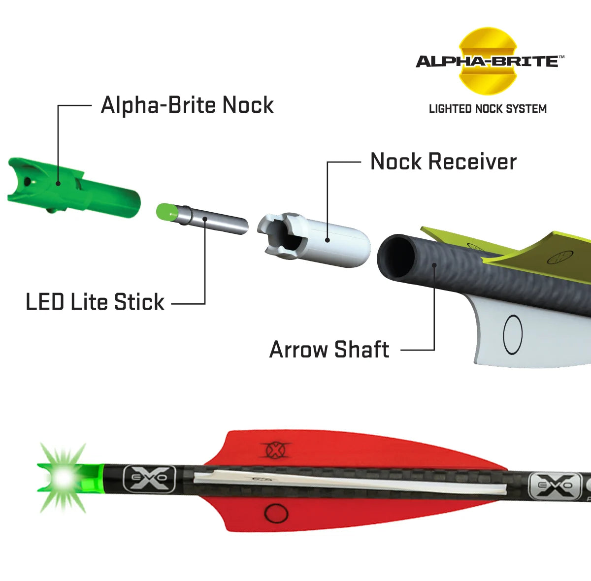 TenPoint Alpha-Brite Lighted Nock System 3pk