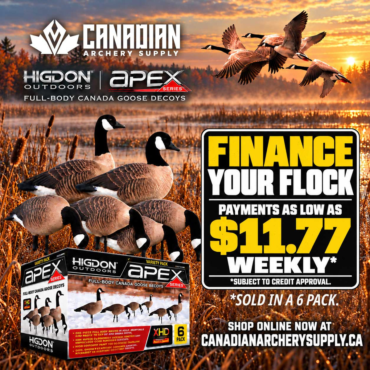 Higdon APEX Full-Size Full-Body Canada Variety Pack B