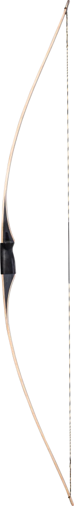 Bear Archery Montana - Grey / Left Hand / 45