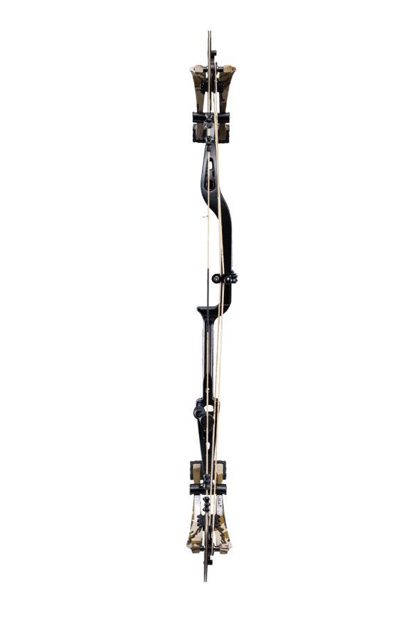 BEAR WHITETAIL INT COMPOUND BOW