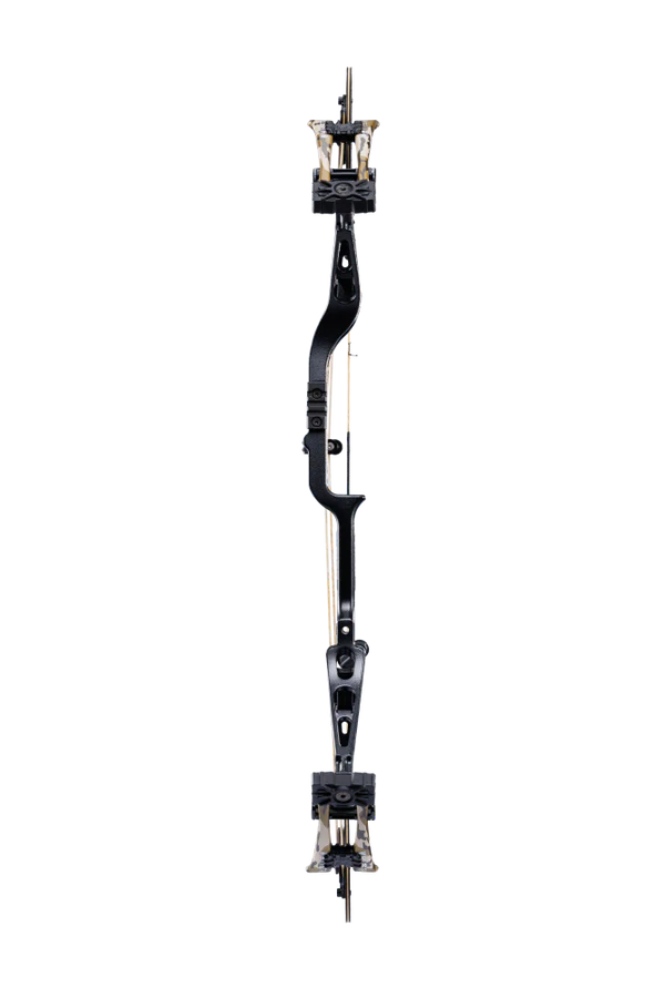 BEAR WHITETAIL INT COMPOUND BOW