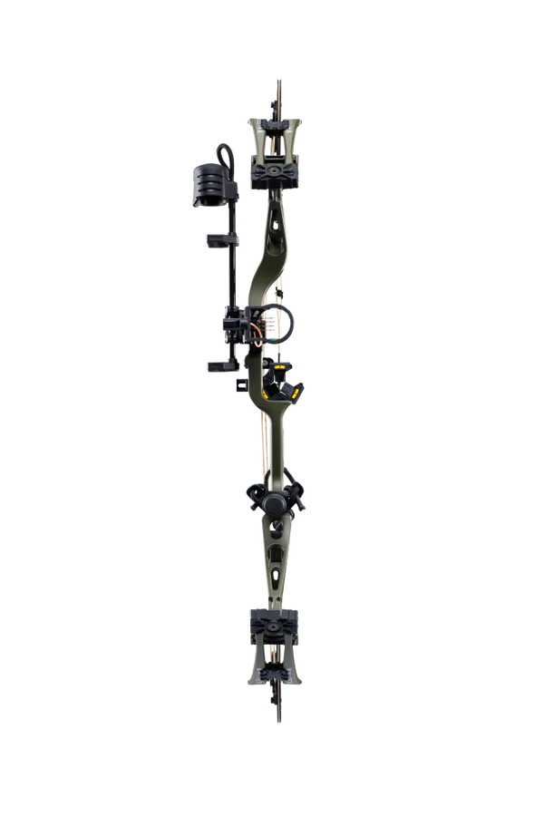 BEAR WHITETAIL INT RTH COMPOUND BOW