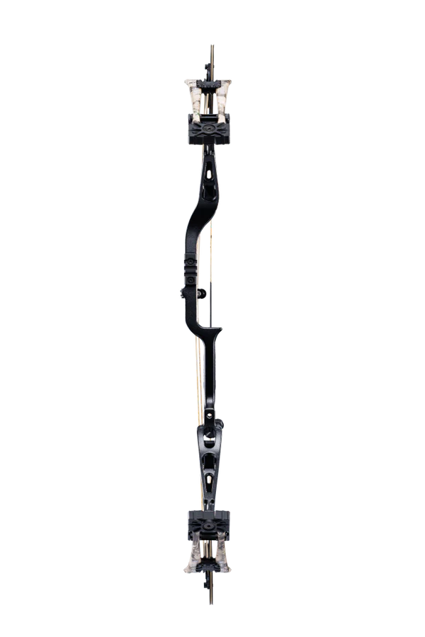 BEAR WHITETAIL INT COMPOUND BOW