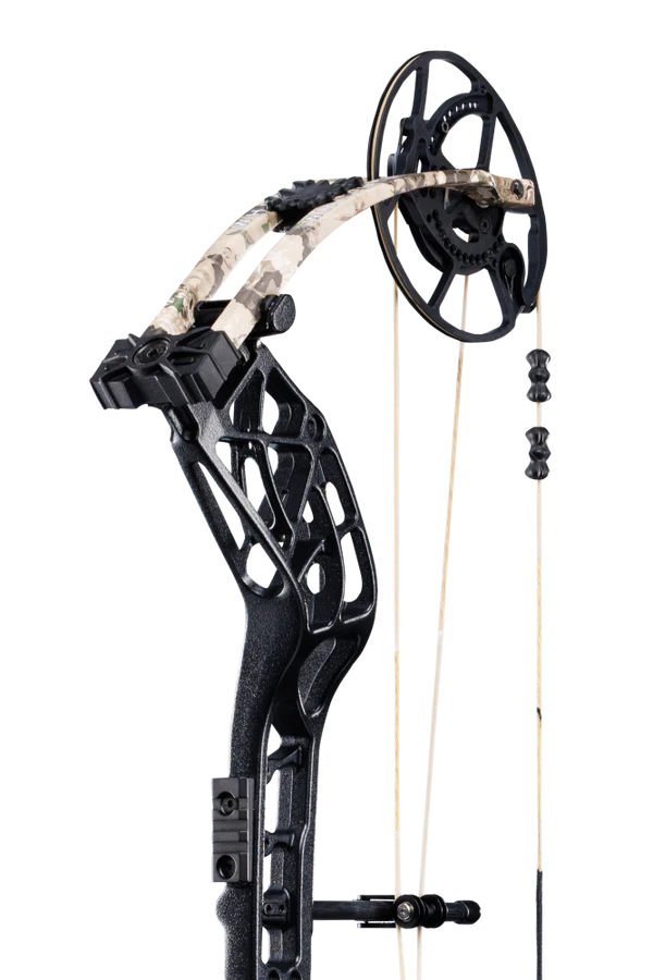 BEAR WHITETAIL INT COMPOUND BOW