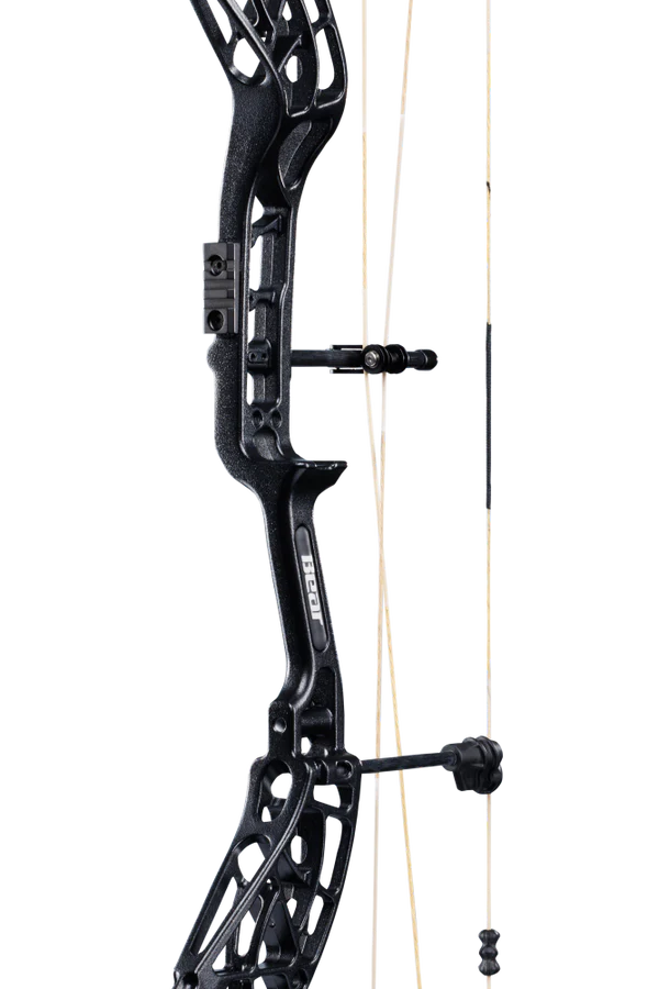 BEAR WHITETAIL INT COMPOUND BOW