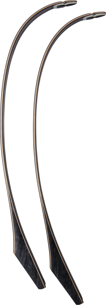 Bear Archery Take Down Limbs - Black Gloss / 60 / #2