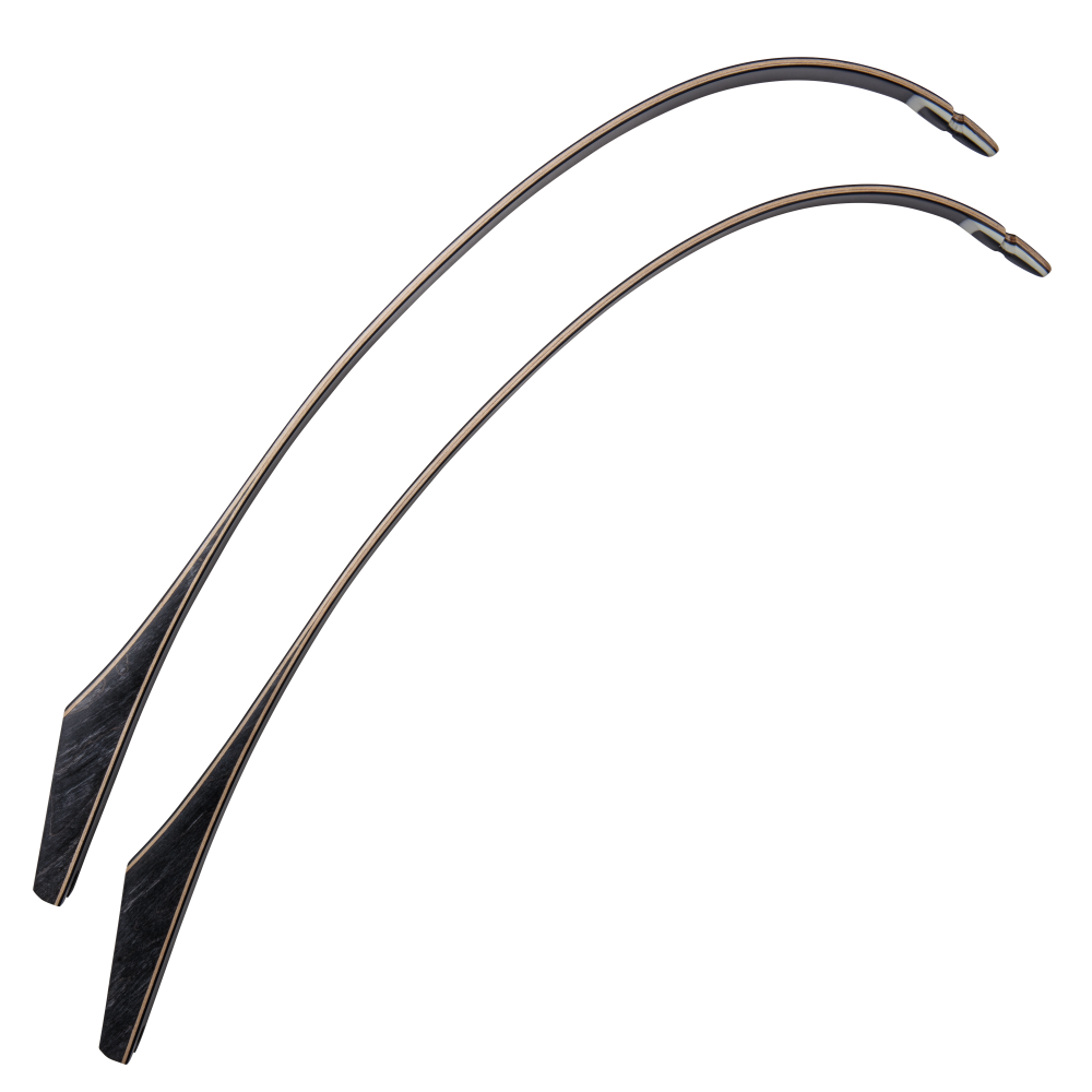 Bear Archery Take Down Limbs - Black Gloss / 45 / #2