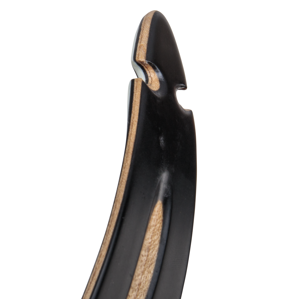 Bear Archery Take Down Limbs - Black Gloss / 55 / #2