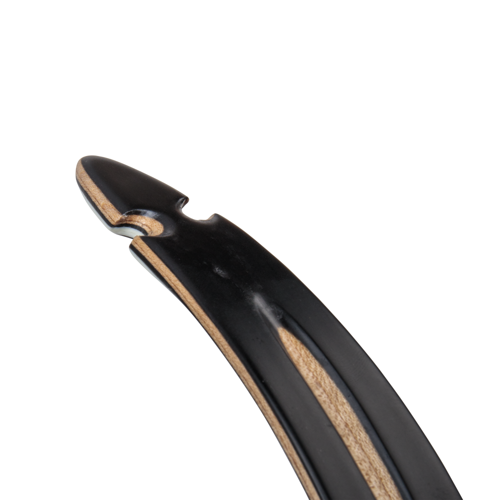 Bear Archery Take Down Limbs - Black Gloss / 35 / #2