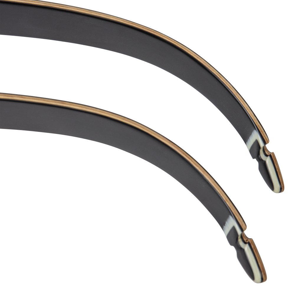 Bear Archery Take Down Limbs - Black Gloss / 50 / #2