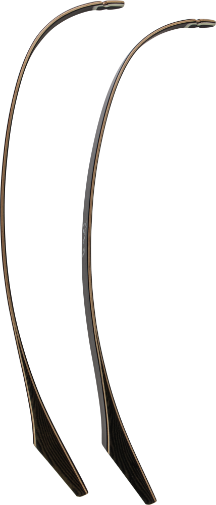 Bear Archery Take Down Limbs - Black Gloss / 70 / #1