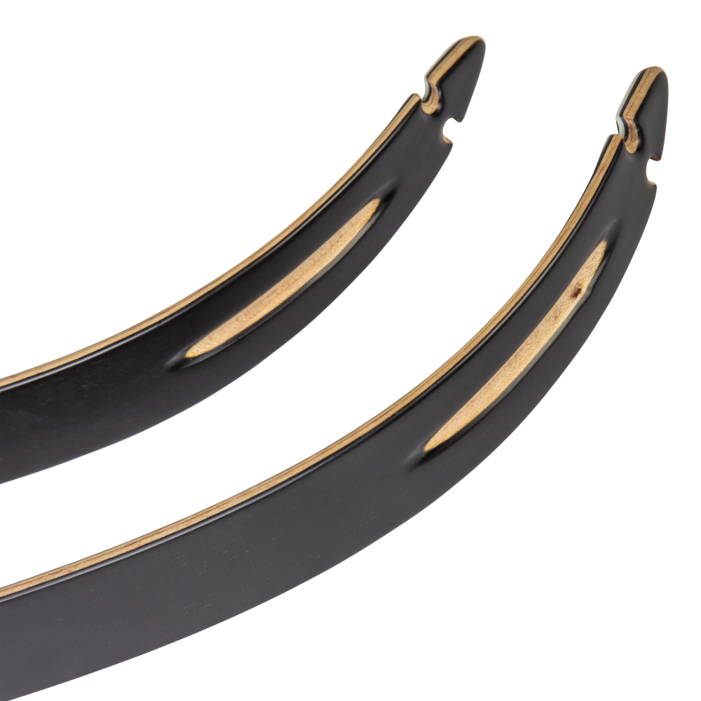 Bear Archery Take Down Limbs - Black Gloss / 35 / #2