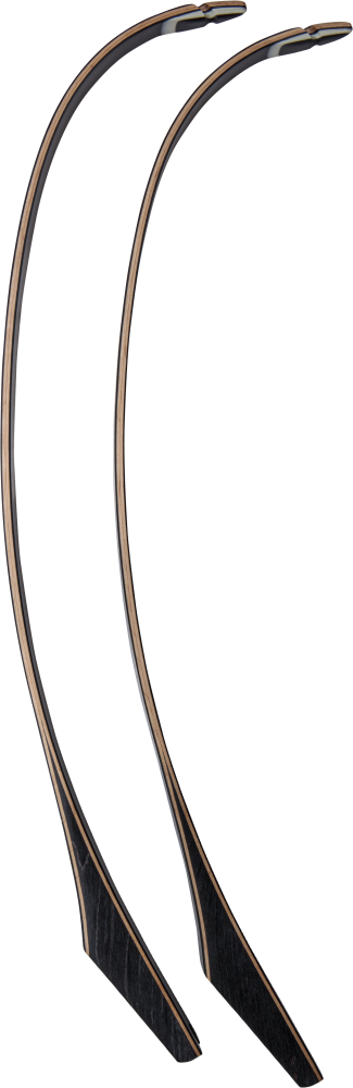 Bear Archery Take Down Limbs - Black Gloss / 30 / #1