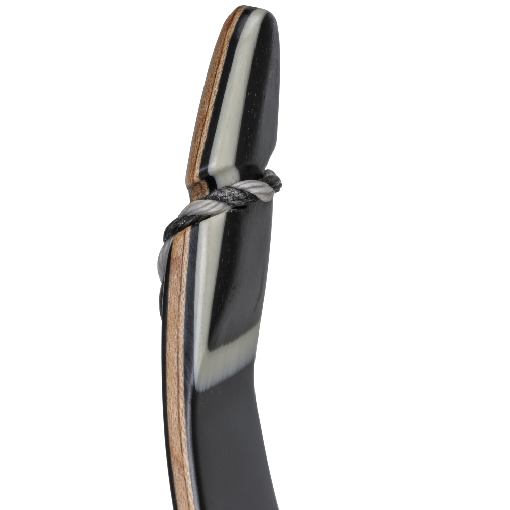 Bear Archery Take Down Limbs - Black Gloss / 40 / #3