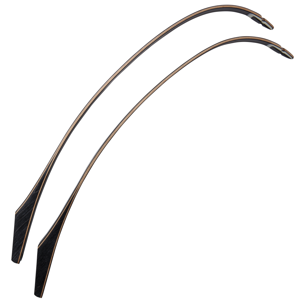 Bear Archery Take Down Limbs - Black Gloss / 25 / #1