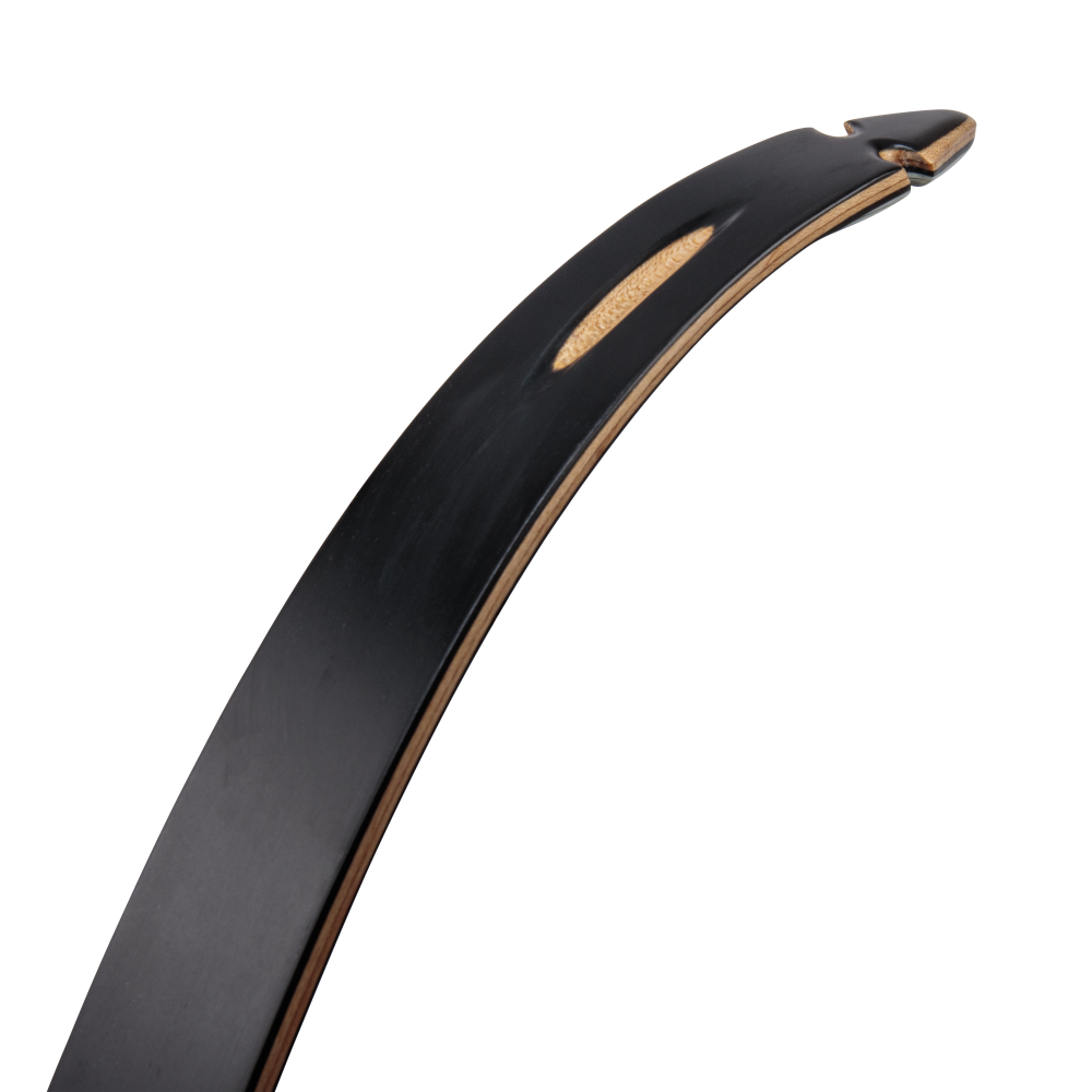 Bear Archery Take Down Limbs - Black Gloss / 50 / #1
