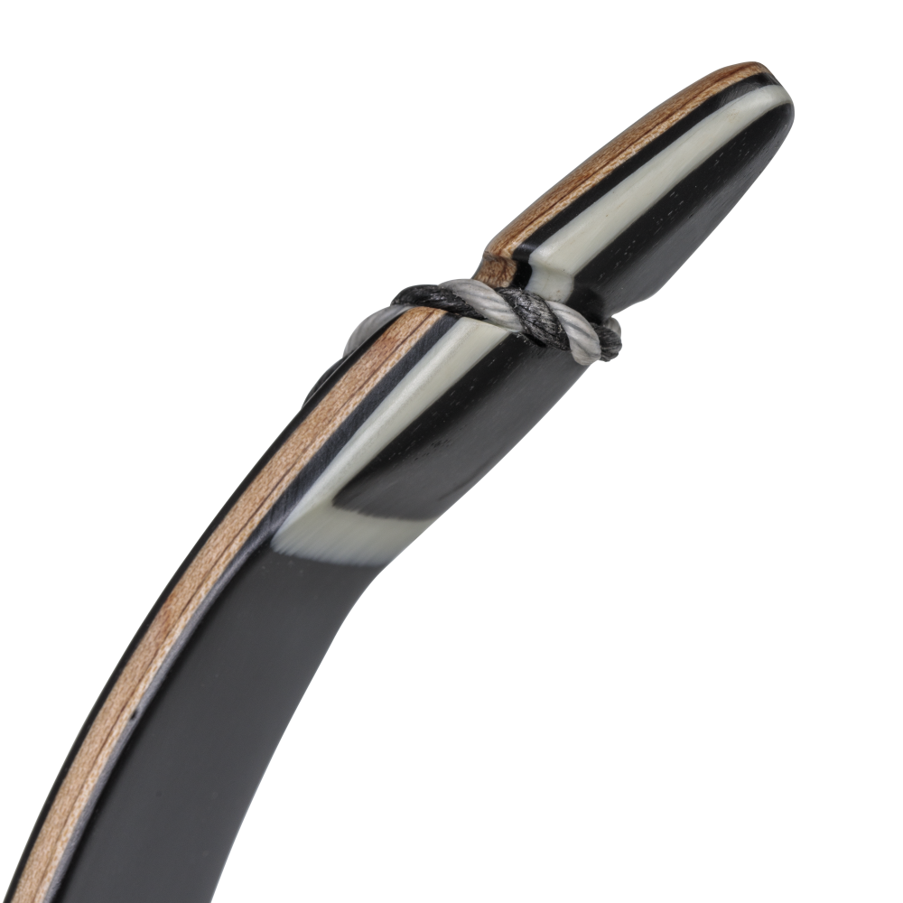 Bear Archery Take Down Limbs - Black Gloss / 40 / #3