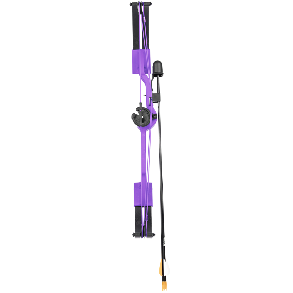 Bear Archery Brave Youth Bow - Purple / Right Hand / Continuous up to 25