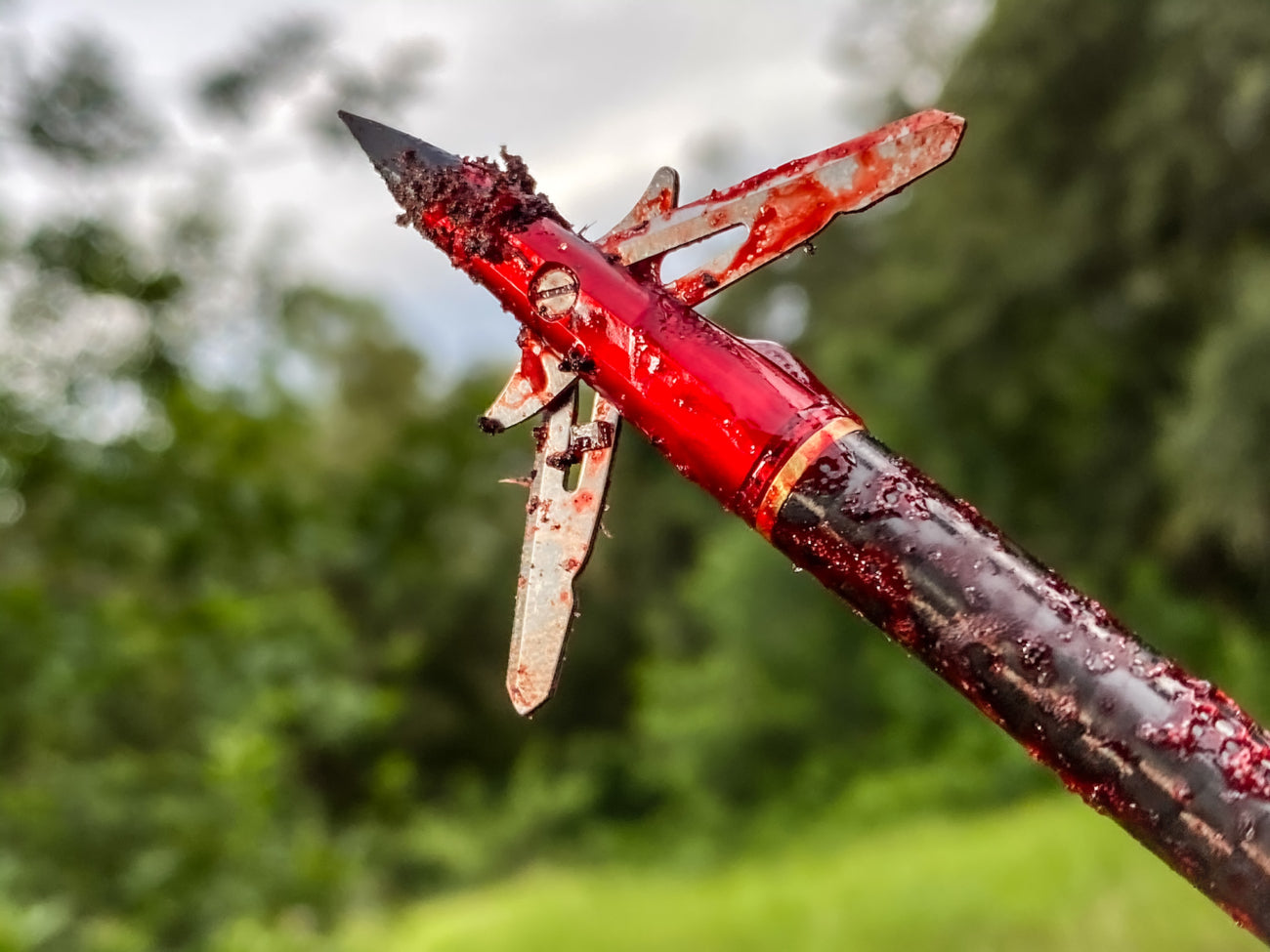 TenPoint EVO-X CenterPunch Broadhead 100gr. 3pk