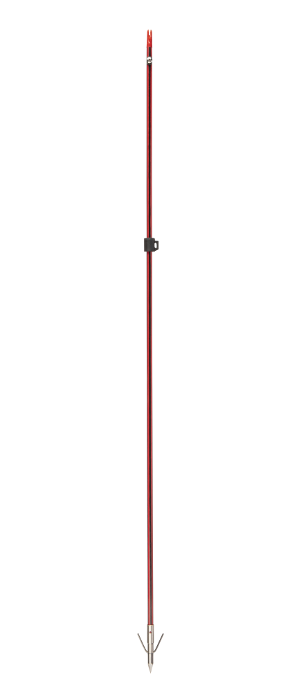 Cajun Bowfishing Wasp Arrow with Piranha XT Point