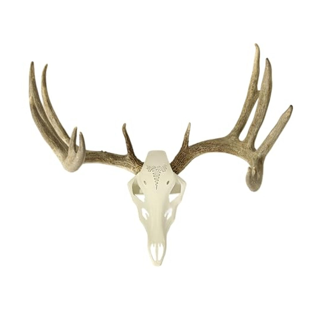Example display with antlers; antlers not included