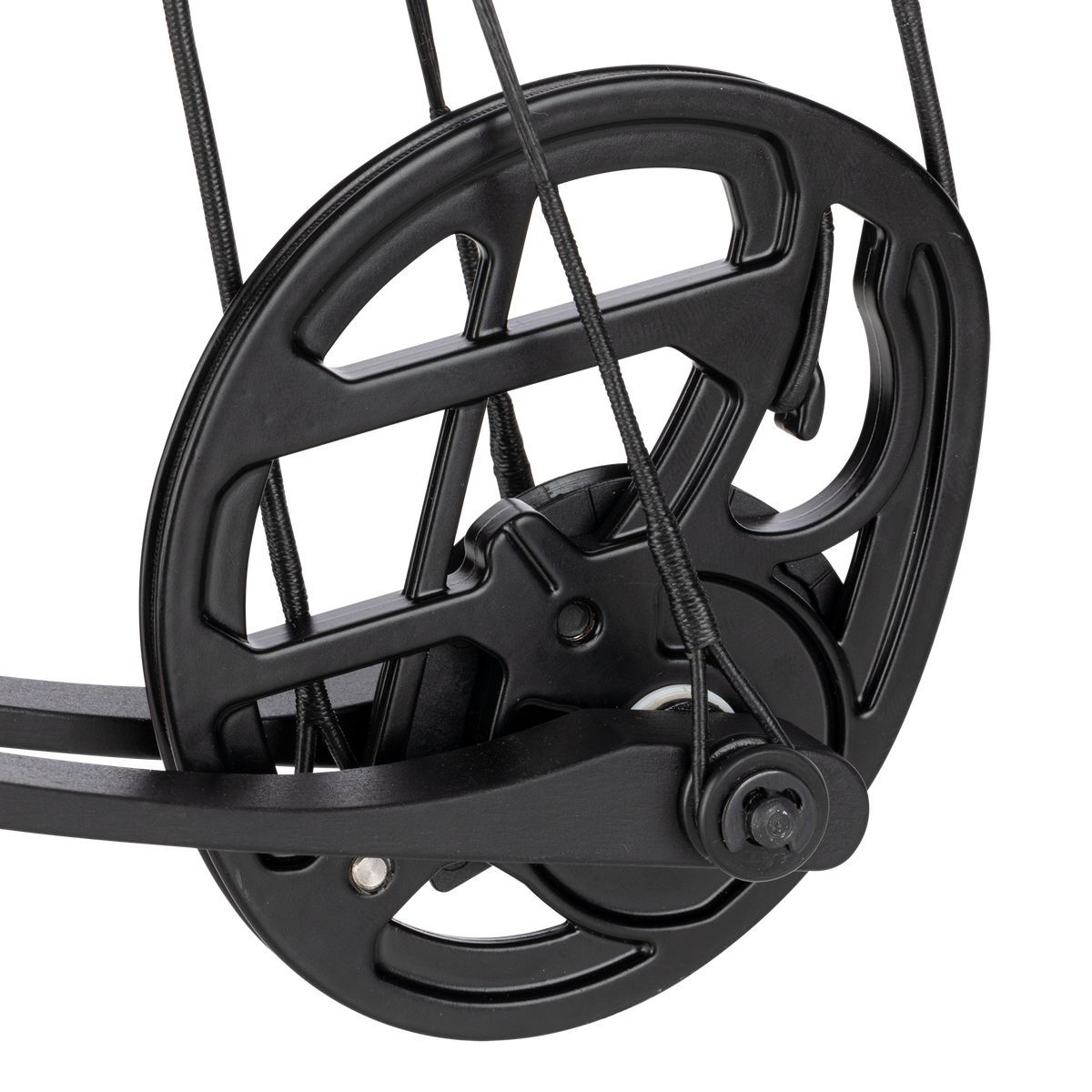 Bear Archer Pathfinder Youth Bow Set