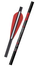 EASTON BLOODLINE 18 CROSSBOW BOLT